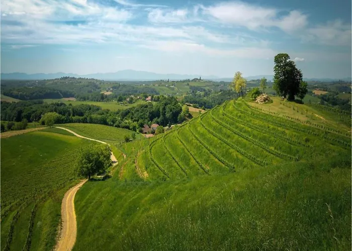 In Vodnjan Near Seabeach